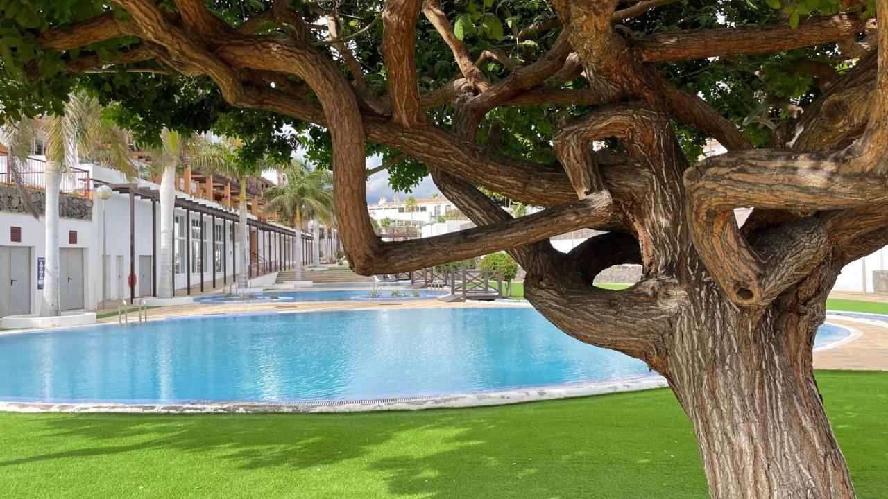 Ferienwohnung HouseHelen San Miguel de Abona Exterior foto